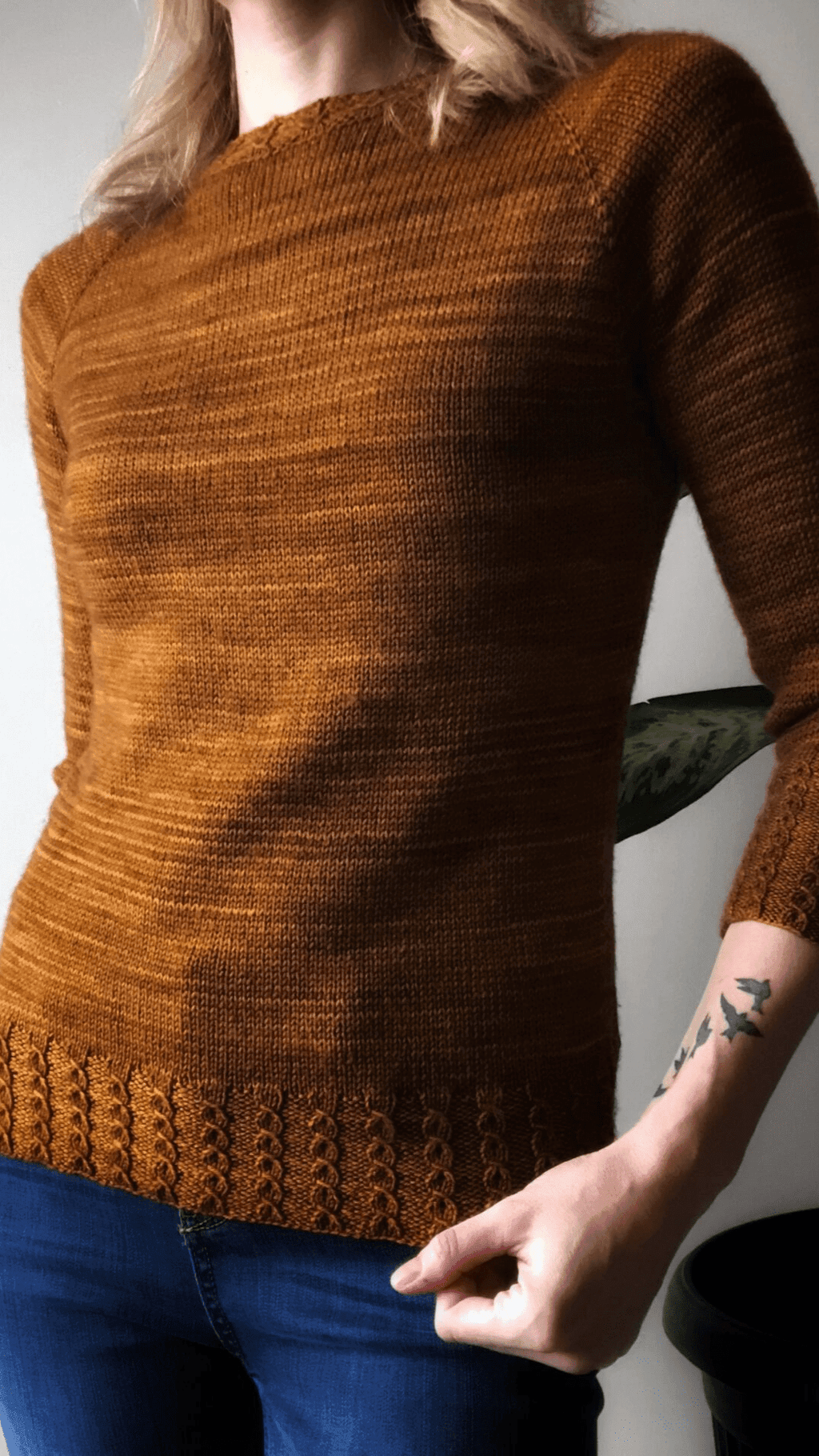 Pull raglan avec Torsade centrale - Les points de Tricot Pull raglan avec Torsade centrale - Les points de Tricot