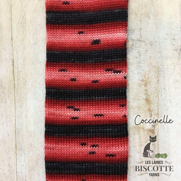Self-Striping Sock Yarn - BIS-SOCK COCCINELLE