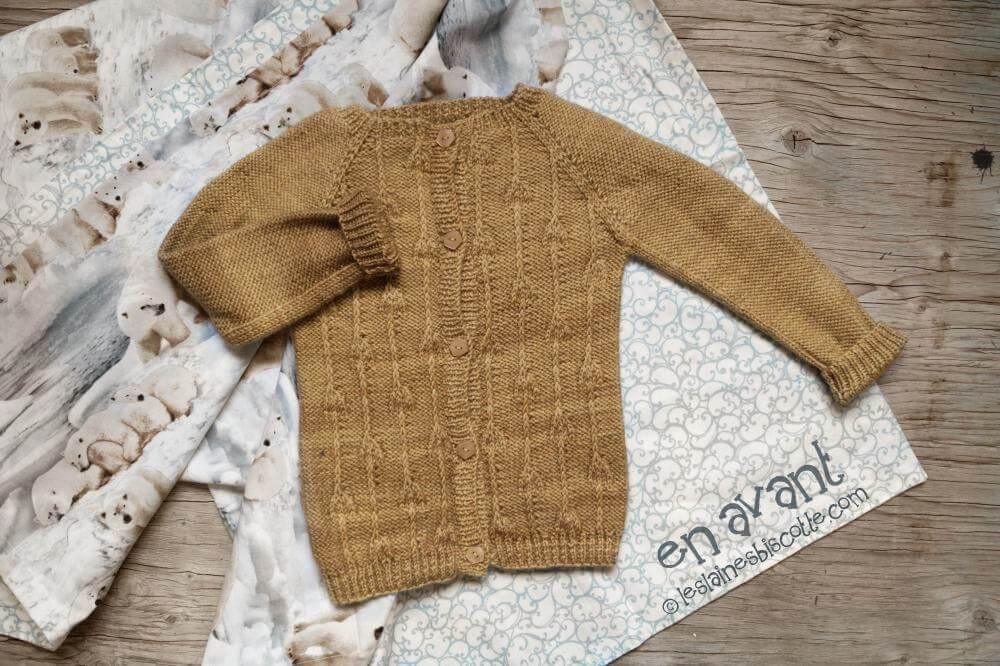 Patron de tricot pour bébé Gilet En Avant! – Les Laines Biscotte Yarns