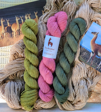 Biscotte Yarns Label