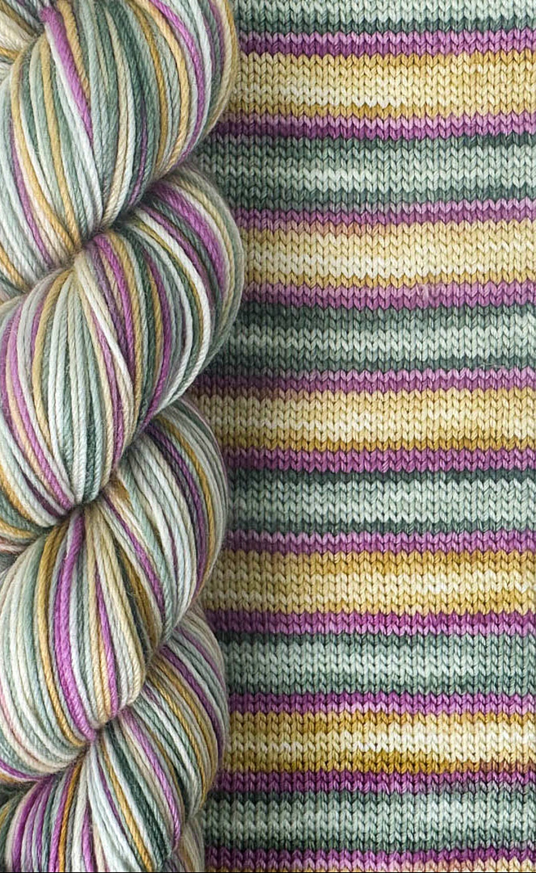 BIS-SOCK ANCOLIE