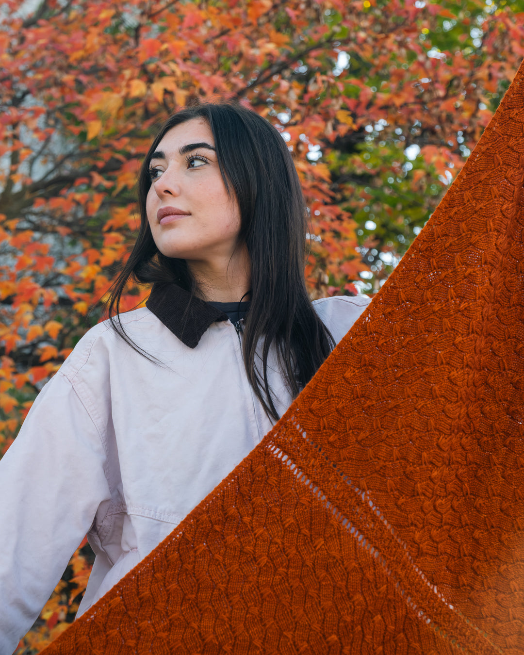 Autumn Shawl - Knitting Pattern and Optional Kit