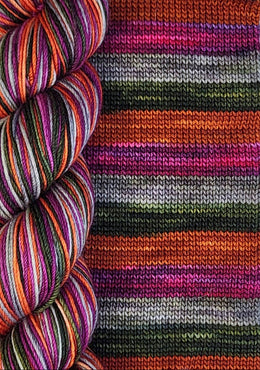 BIS-SOCK CHASSE-GALERIE
