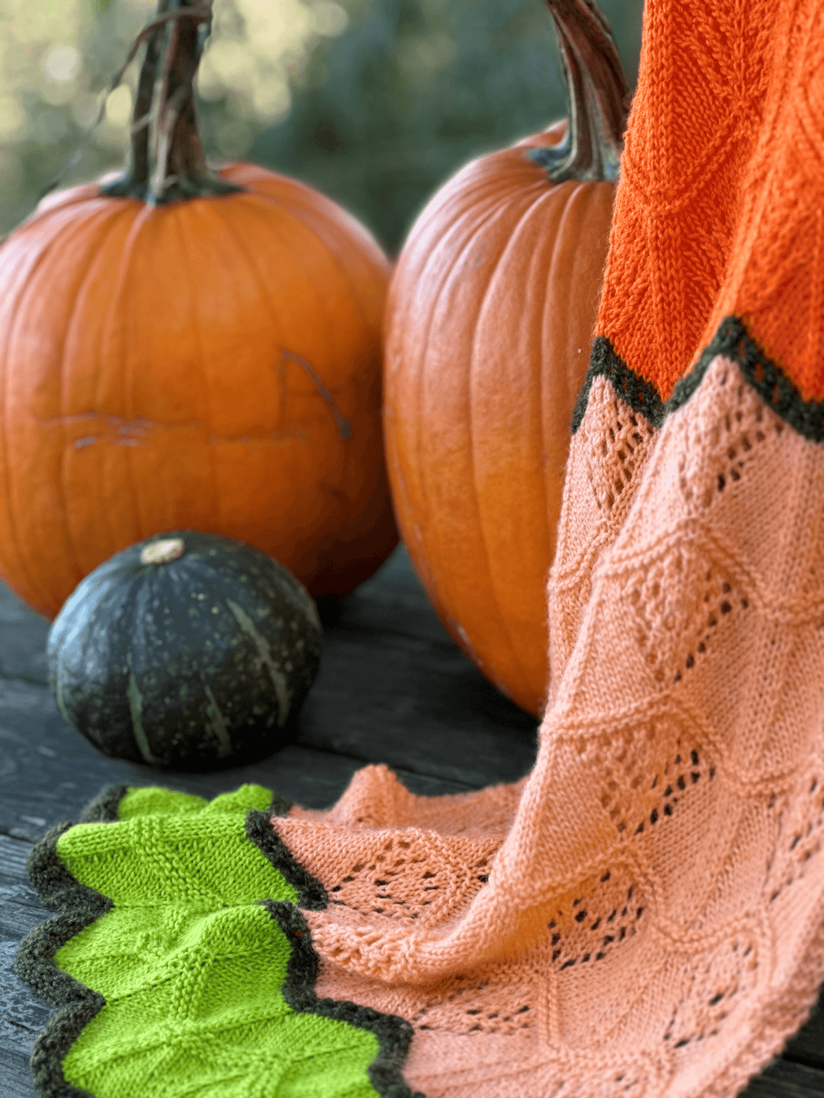 Fall Chevron Shawl - KNITTING KIT - Les Laines Biscotte Yarns