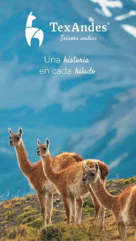 Guanaco by Tex Andes for Biscotte Yarns