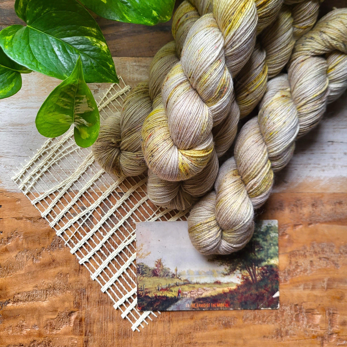 Diagonal Cable Stole | Knitting kit - Les Laines Biscotte Yarns