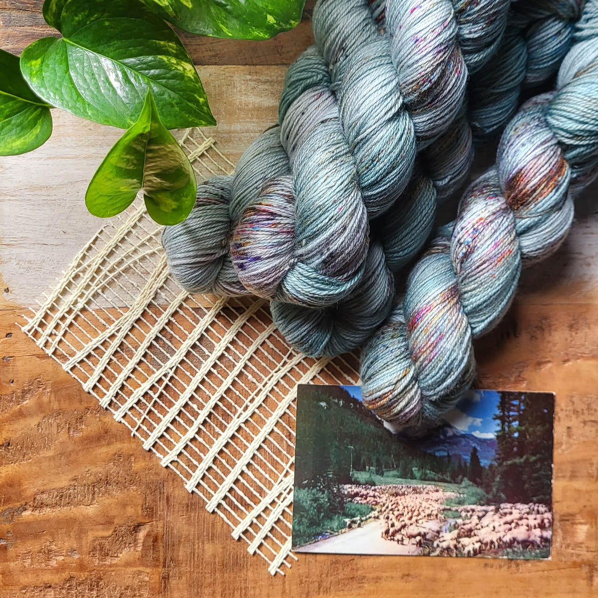 Diagonal Cable Stole | Knitting kit - Les Laines Biscotte Yarns