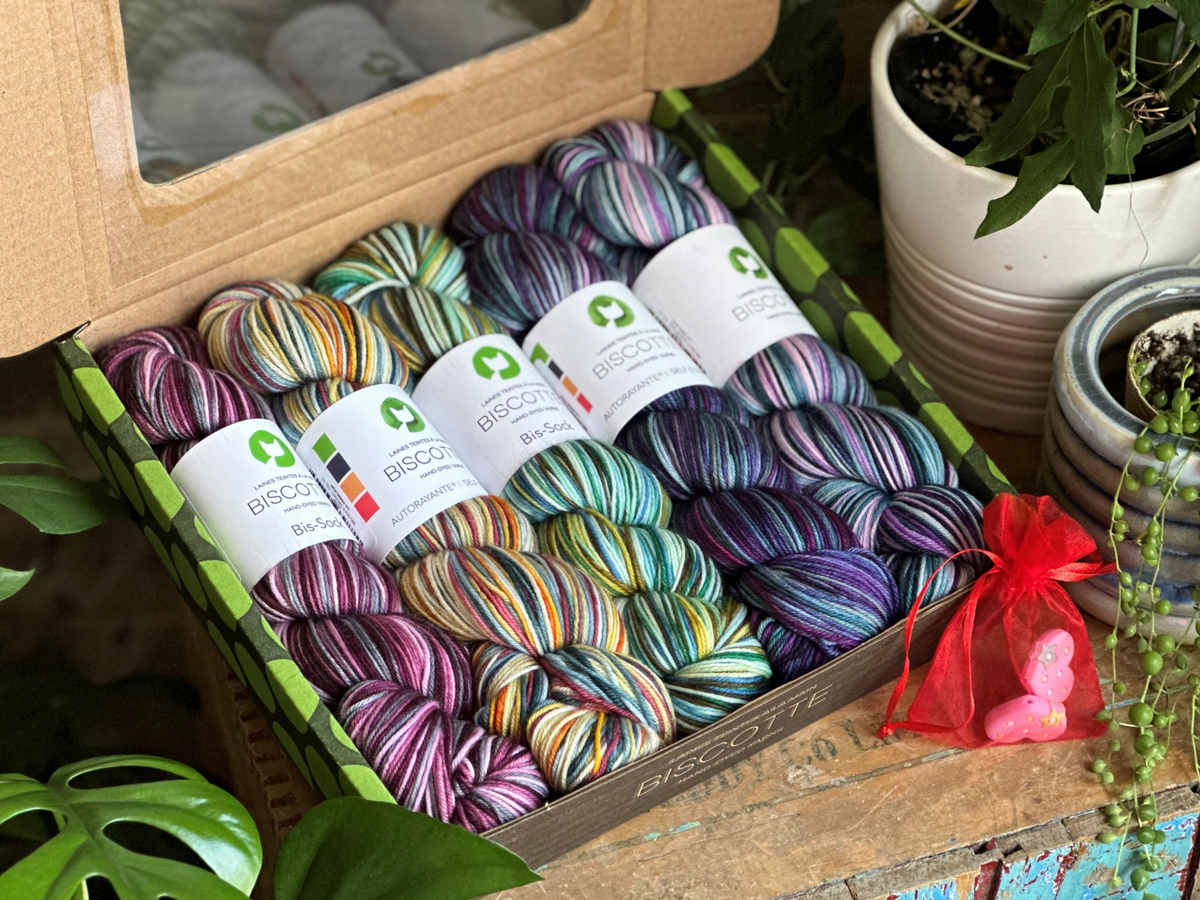 Coffret cadeau de la tricoteuse de chaussettes