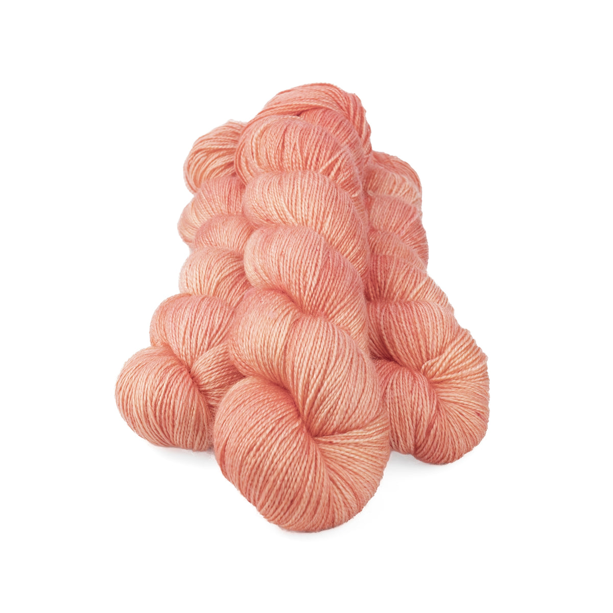 MUSE CORAIL