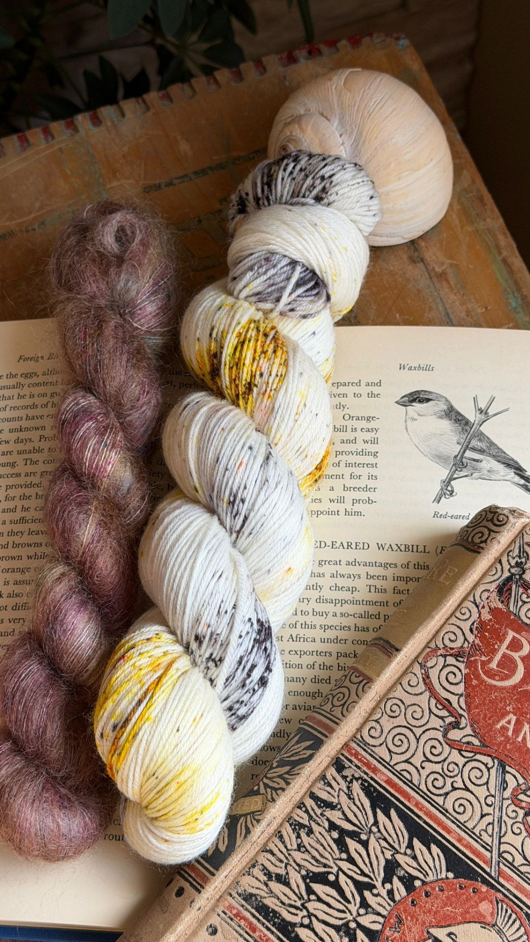 Glissade Socks | Knitting pattern and Optional kit