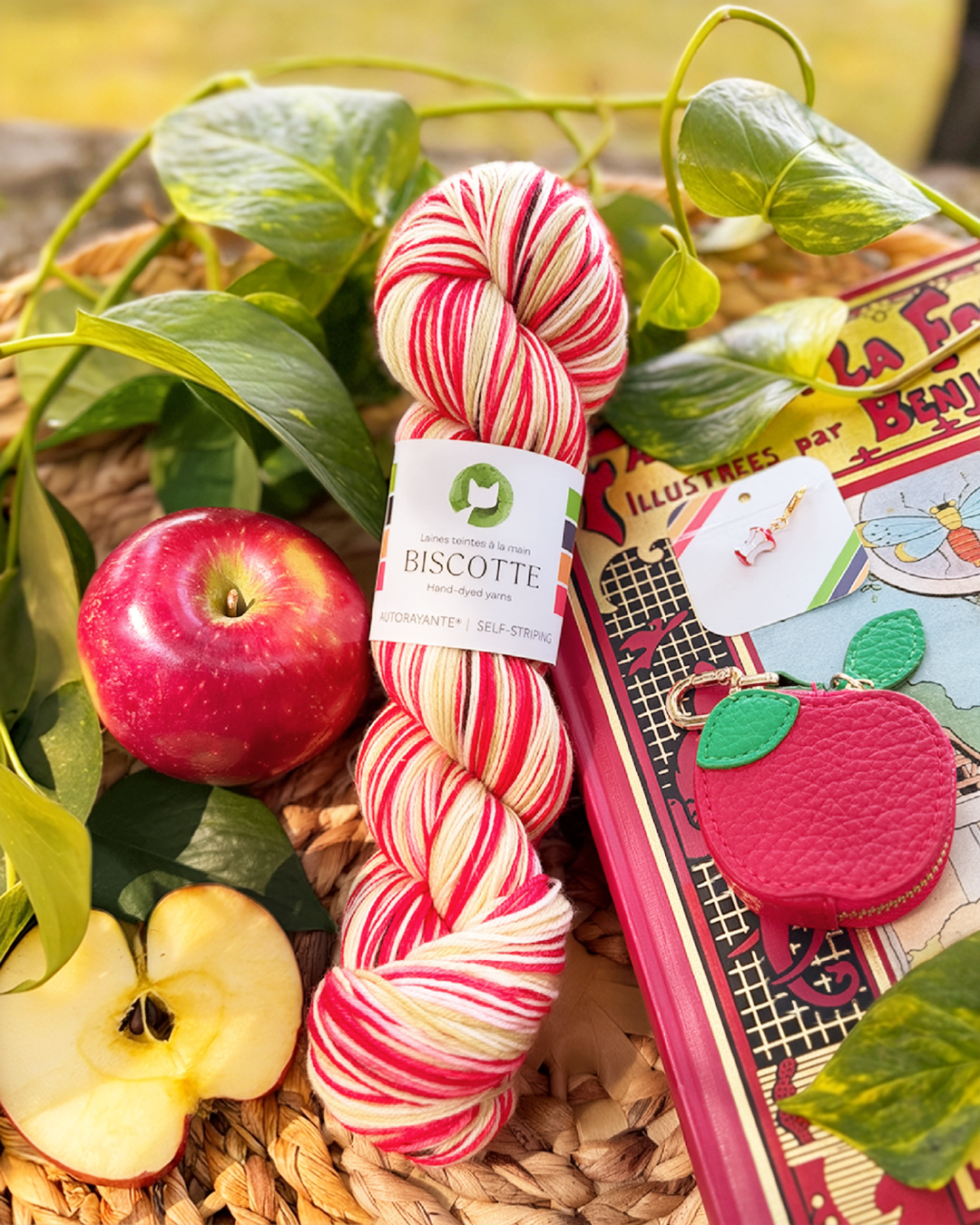 Limited Edition Kit Apple - Yarn and Accessories