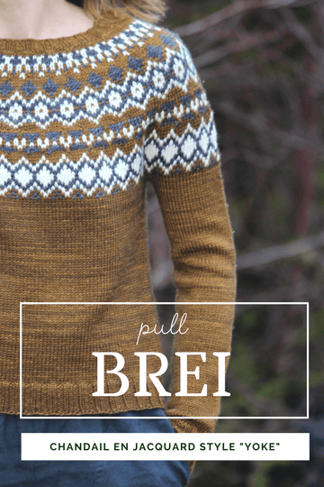 Brei Pullover Knitting Pattern