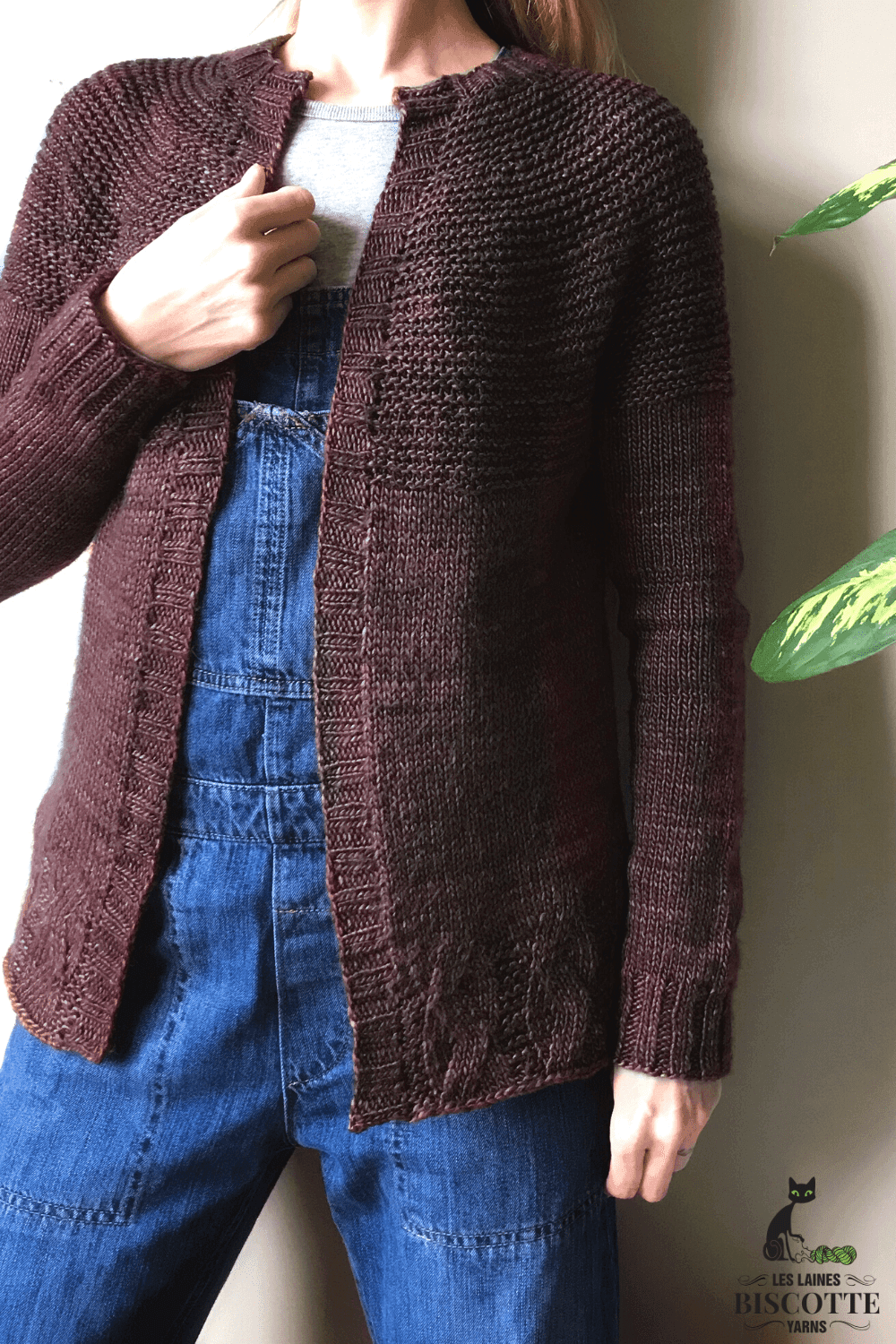 Jane Cardigan Free Knitting Pattern