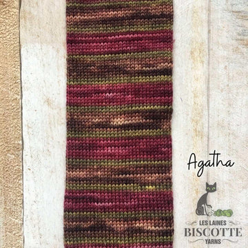 Self-Striping Sock Yarn - BIS-SOCK AGATHA