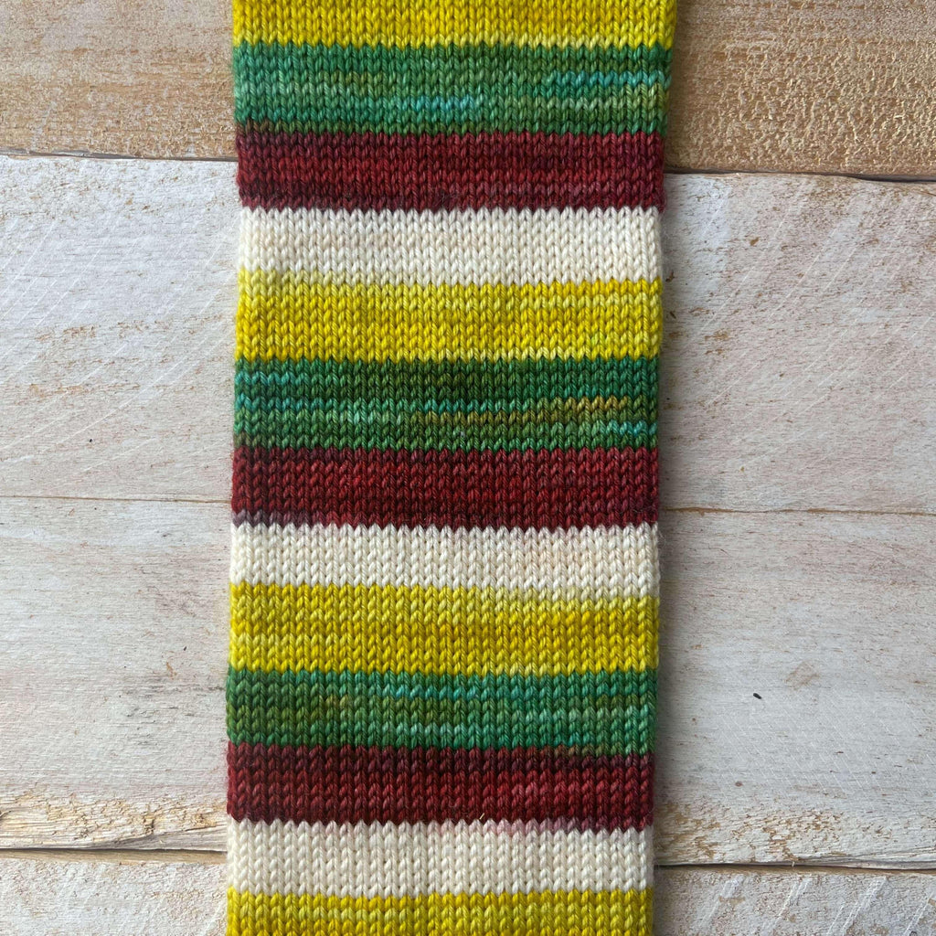 Self-Striping Sock Yarn - BIS-SOCK SAINT NICOLAS