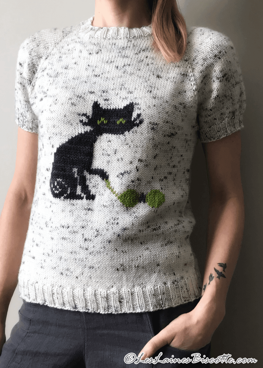 Biscot-tee Cat Free Sweater Pattern