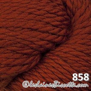 Cascade Yarns 128 Superwash - Color: 858.0