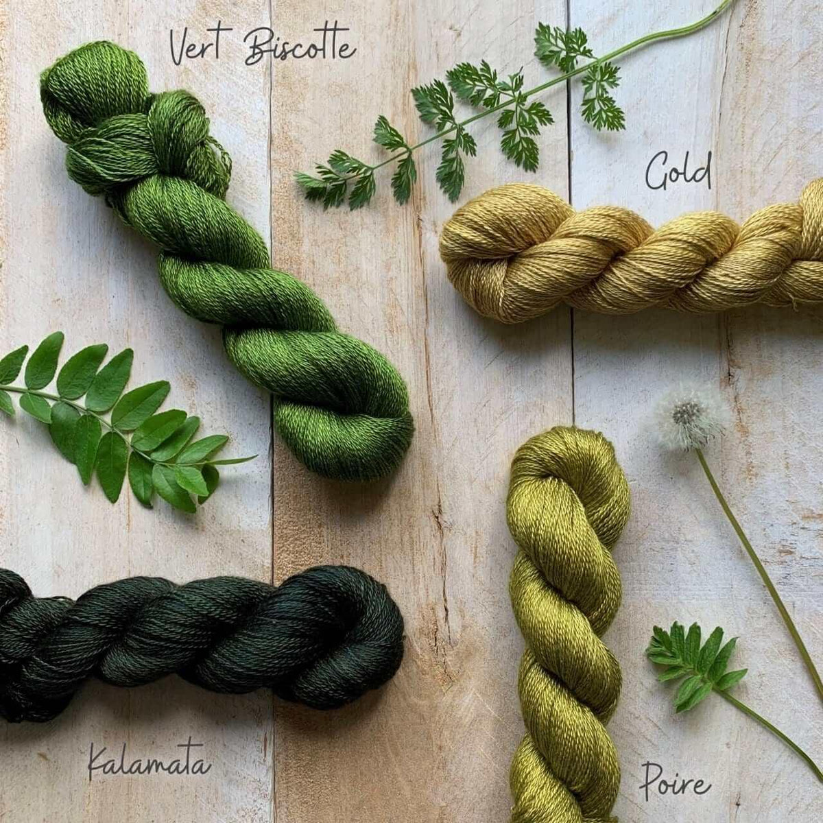 Hand-dyed CASHSILK VERT BISCOTTE lace yarn