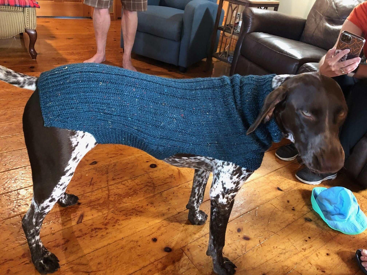 Whisky's sweater Pattern for Dog