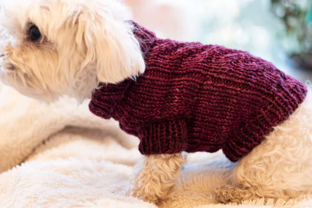 Engel Pullover Dog Pattern