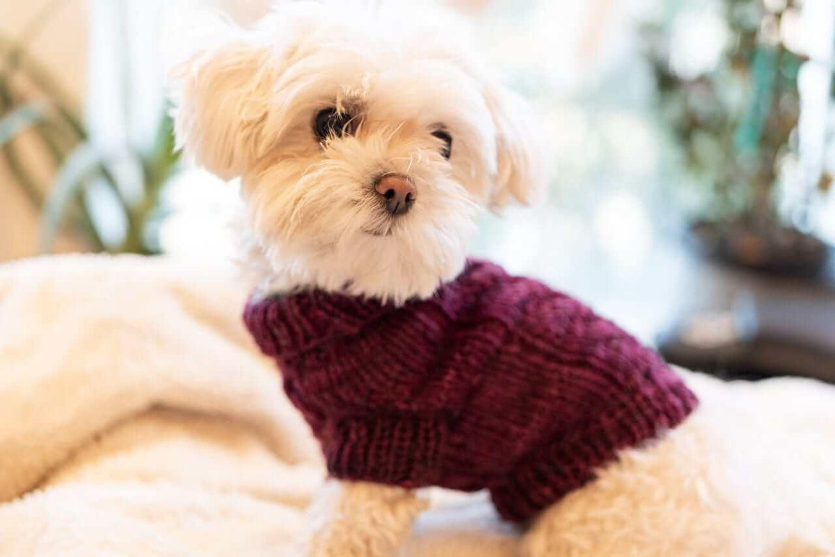 Engel Pullover Dog Pattern