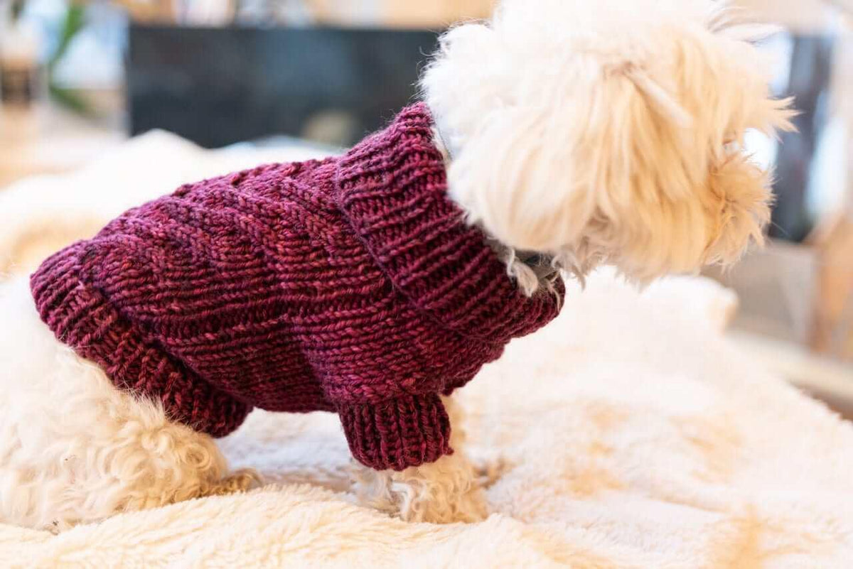 Engel Pullover Dog Pattern