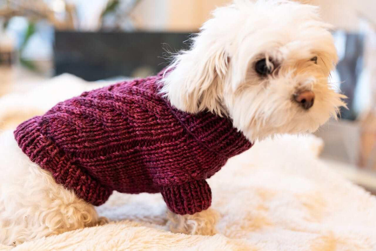 Engel Pullover Dog Pattern