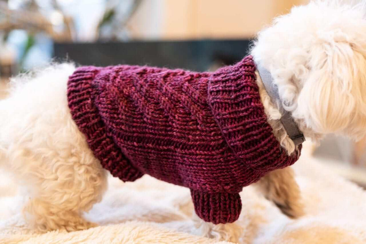 Engel Pullover Dog Pattern