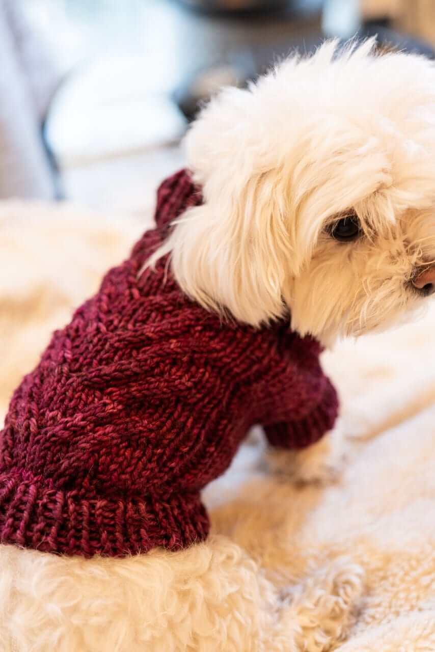 Engel Pullover Dog Pattern