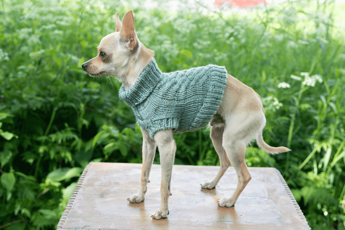 Engel Pullover Dog Pattern