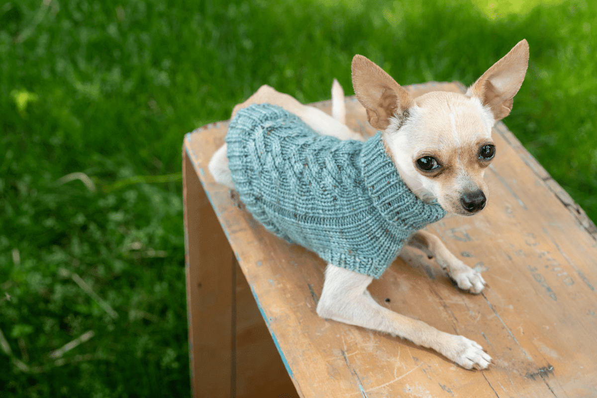 Engel Pullover Dog Pattern