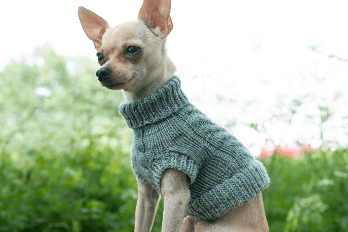 Engel Pullover Dog Pattern