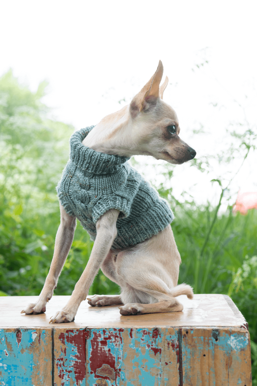 Engel Pullover Dog Pattern