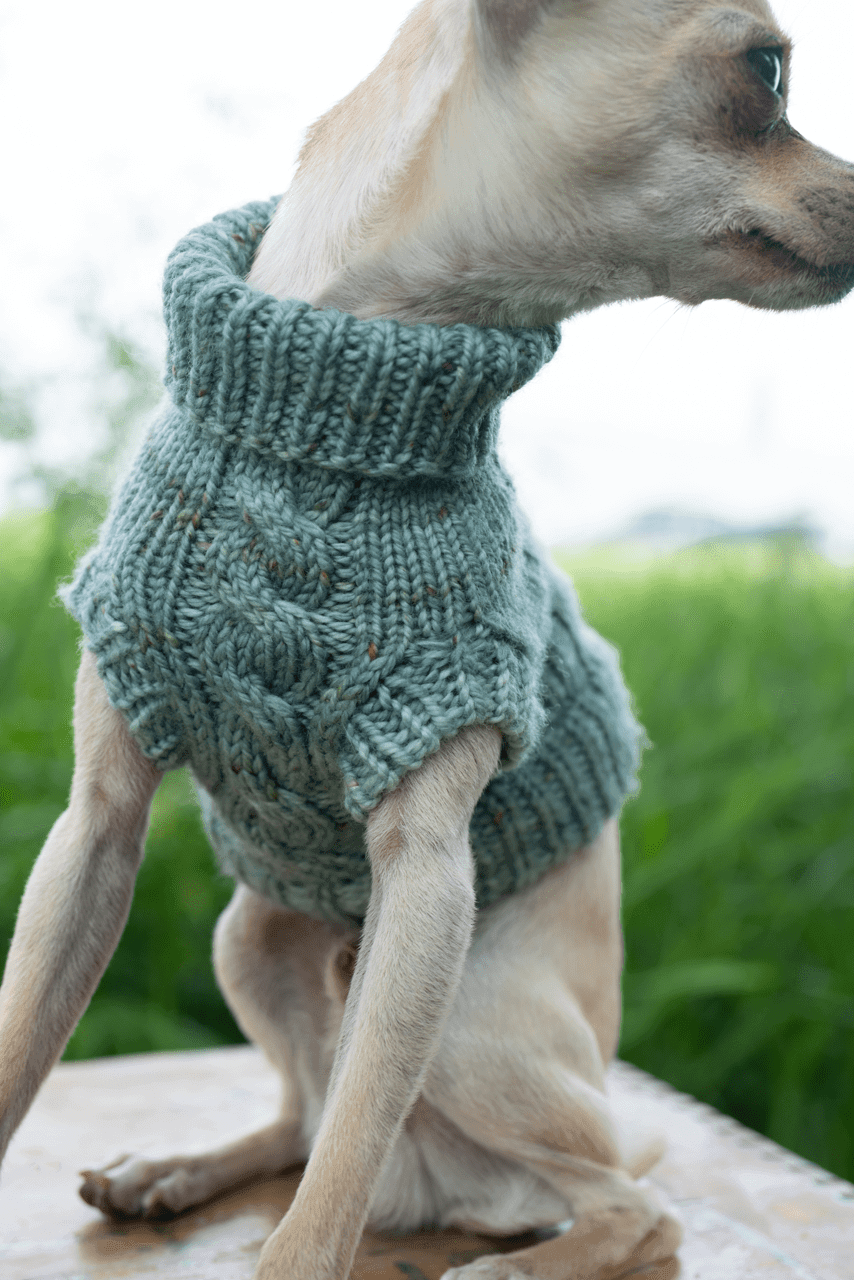 Engel Pullover Dog Pattern