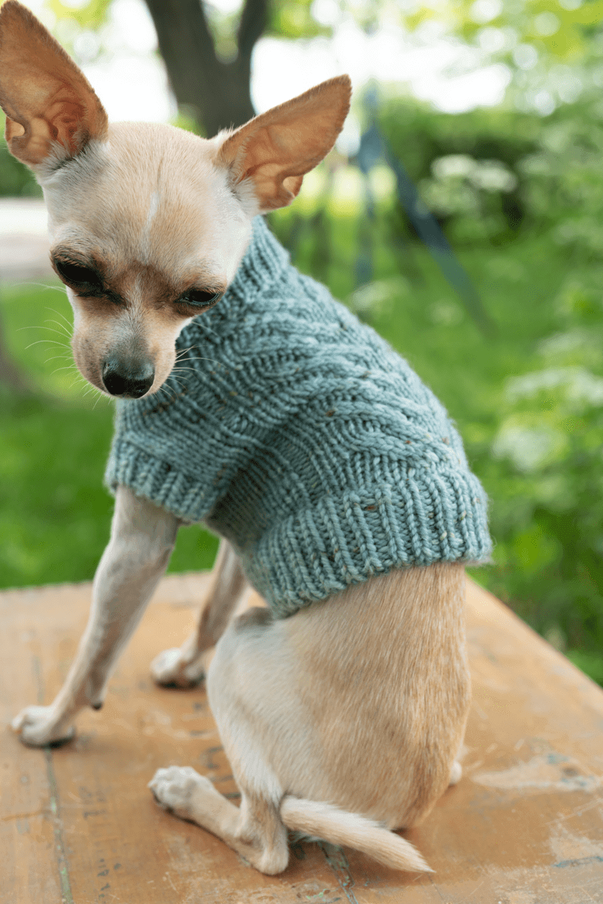 Engel Pullover Dog Pattern