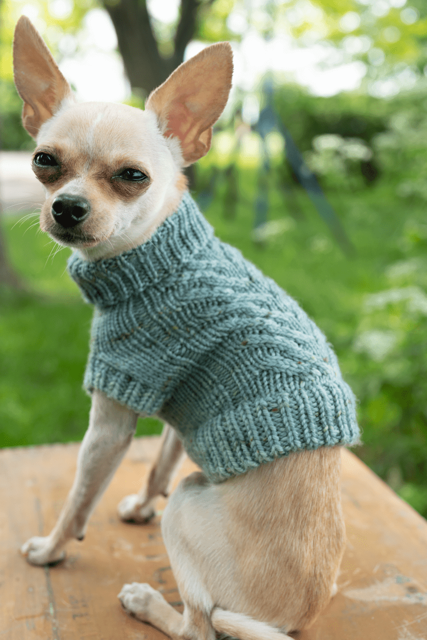 Engel Pullover Dog Pattern