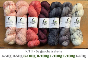 Knitting kit - FIND YOUR FADE shawl by Andrea Mowry - Les Laines Biscotte Yarns