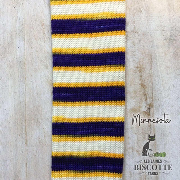 Self-Striping Sock Yarn - BIS-SOCK MINNESOTA