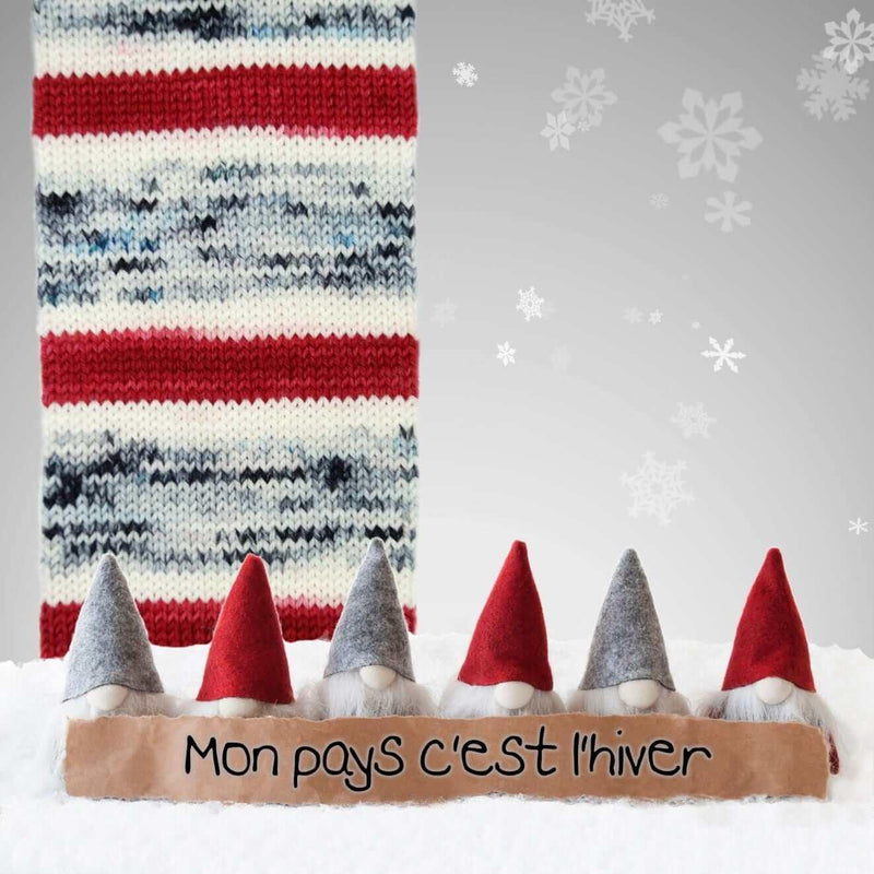 Self-Striping Sock Yarn - BIS-SOCK MON PAYS C'EST L'HIVER