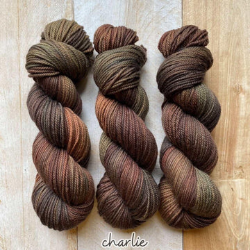 Hand-dyed yarn MERINO WORSTED CHARLIE