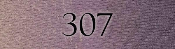 Poema - LAINES du NORD - Color: # 307 Grape/Lavender/Beige