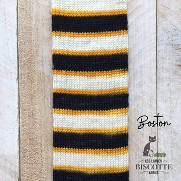 Self-Striping Sock Yarn - BIS-SOCK BOSTON