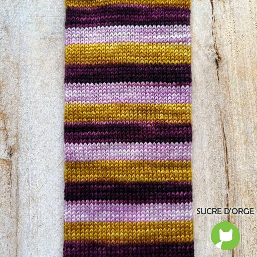 Self-Striping Sock Yarn - BIS-SOCK SUCRE D'ORGE