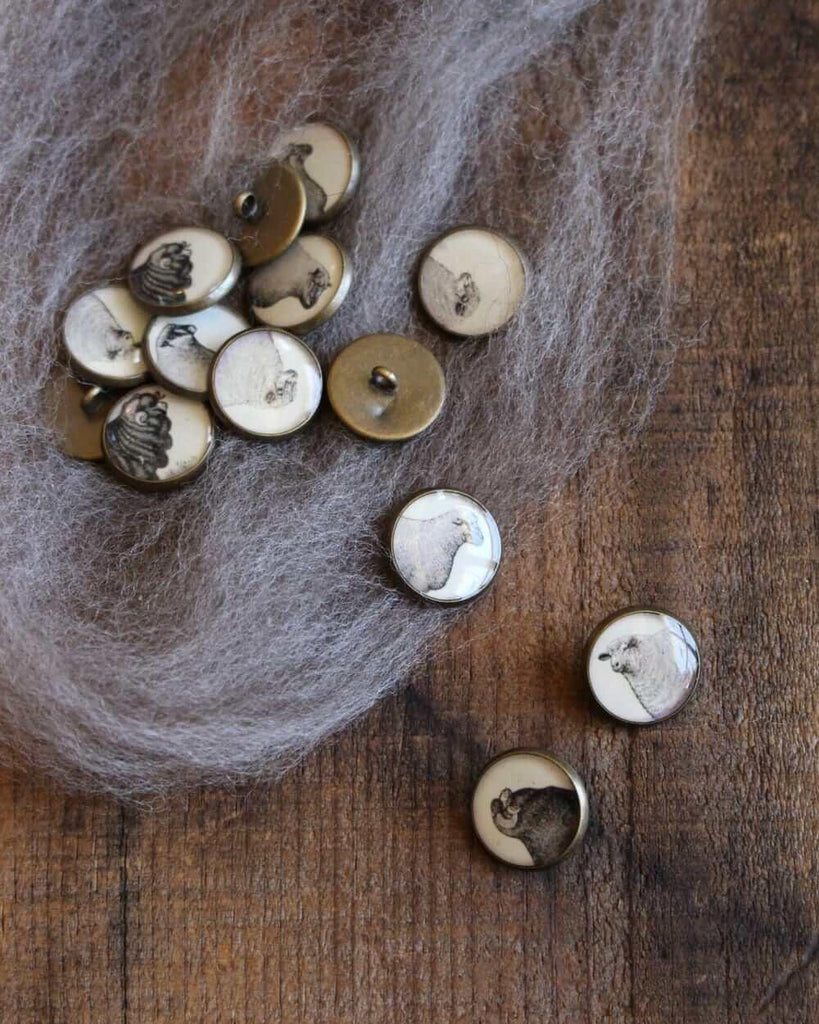 Resin Sheep Buttons / Set of 4 - Les Laines Biscotte Yarns