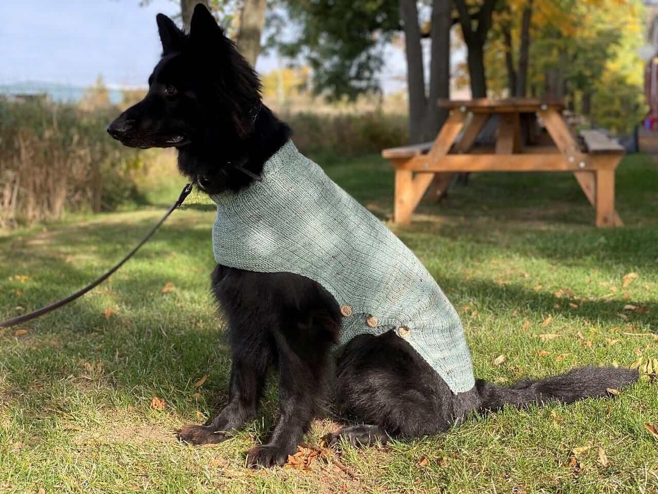 Au Crochet Manteau Manteau Pour Petit Chien Au Tricot Manteau Pour