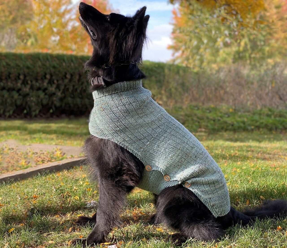 Whisky's sweater Pattern for Dog