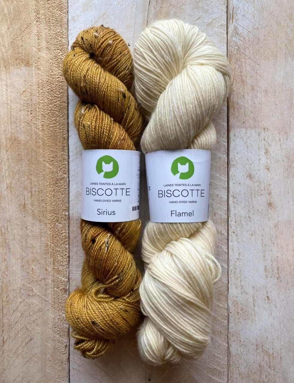 Les Gens de La Ville Mittens Kit 🏡 - Les Laines Biscotte Yarns