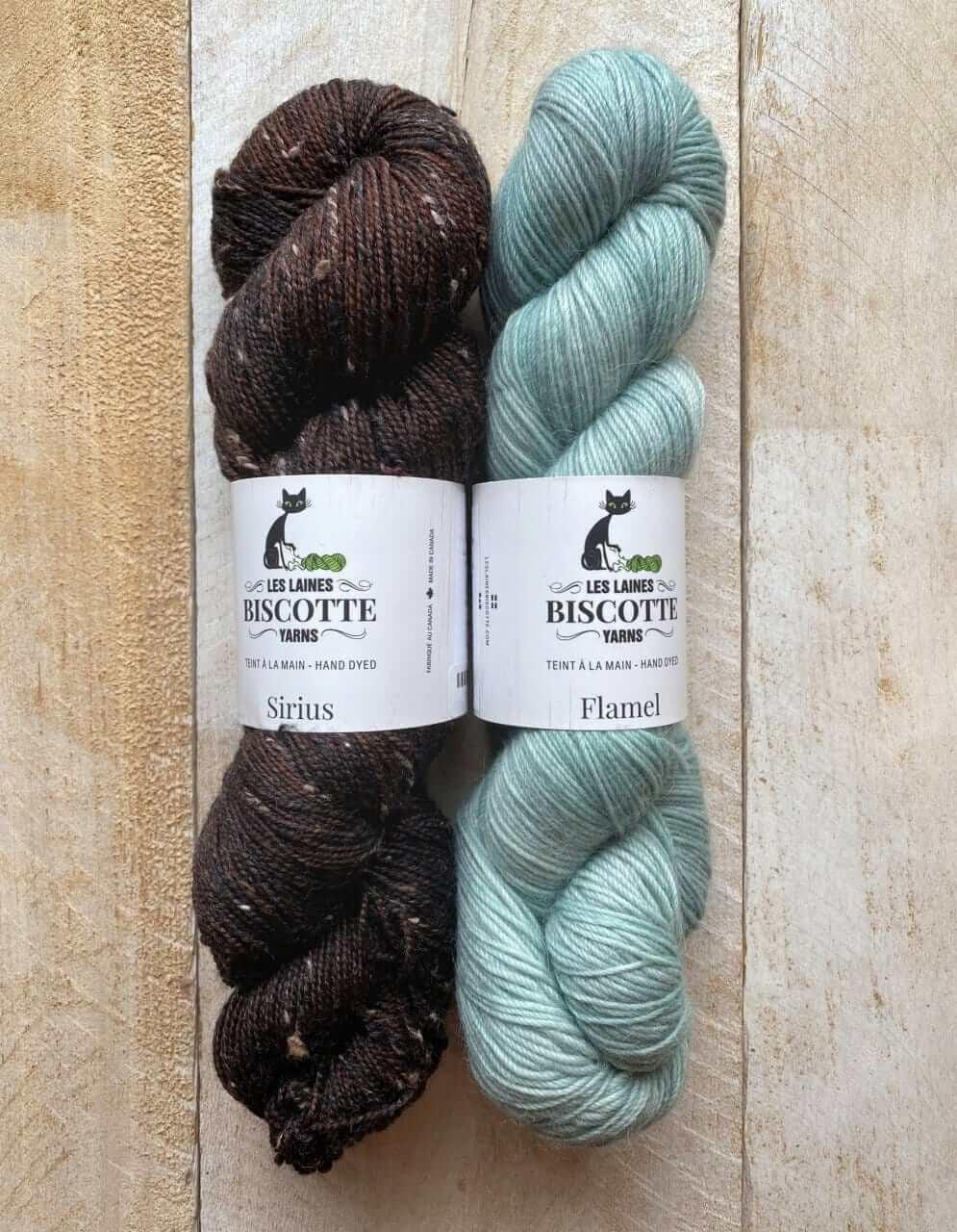 Les Gens de La Ville Mittens Kit 🏡 - Les Laines Biscotte Yarns