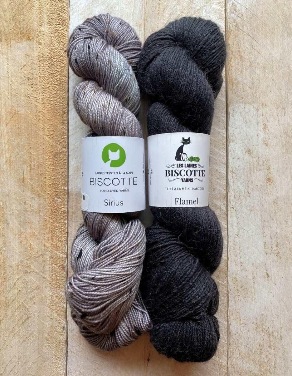 Les Gens de La Ville Mittens Kit 🏡 - Les Laines Biscotte Yarns