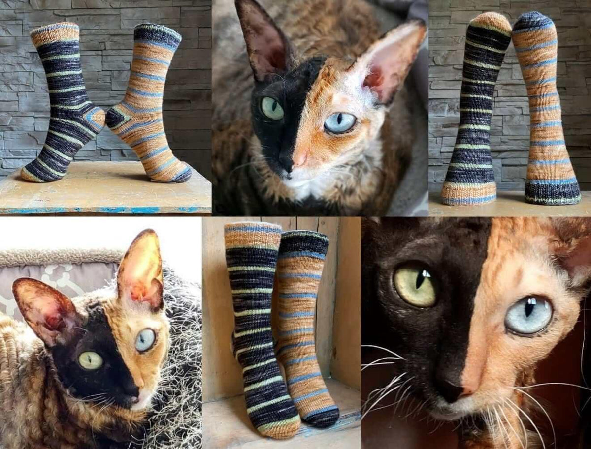 Stella The Two Face cat Free Sock Pattern